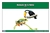 Rainforest Animals Nomenclature Cards (Spanish)