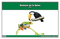 Tarjetas de Nomenclatura de Animales de la Selva Tropical (Printed)