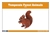 Temperate Forest Animals Nomenclature Cards (Printed)