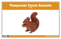 Temperate Forest Animals Nomenclature Cards (Printed)