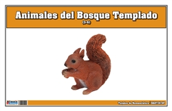 Tarjetas de Nomenclatura de Animales del Bosque Templado (Printed)