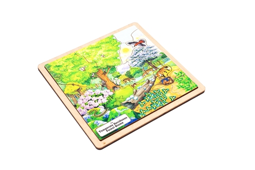 Temperate Deciduous Forest Biome Puzzle