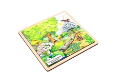 Temperate Deciduous Forest Biome - Complete Set