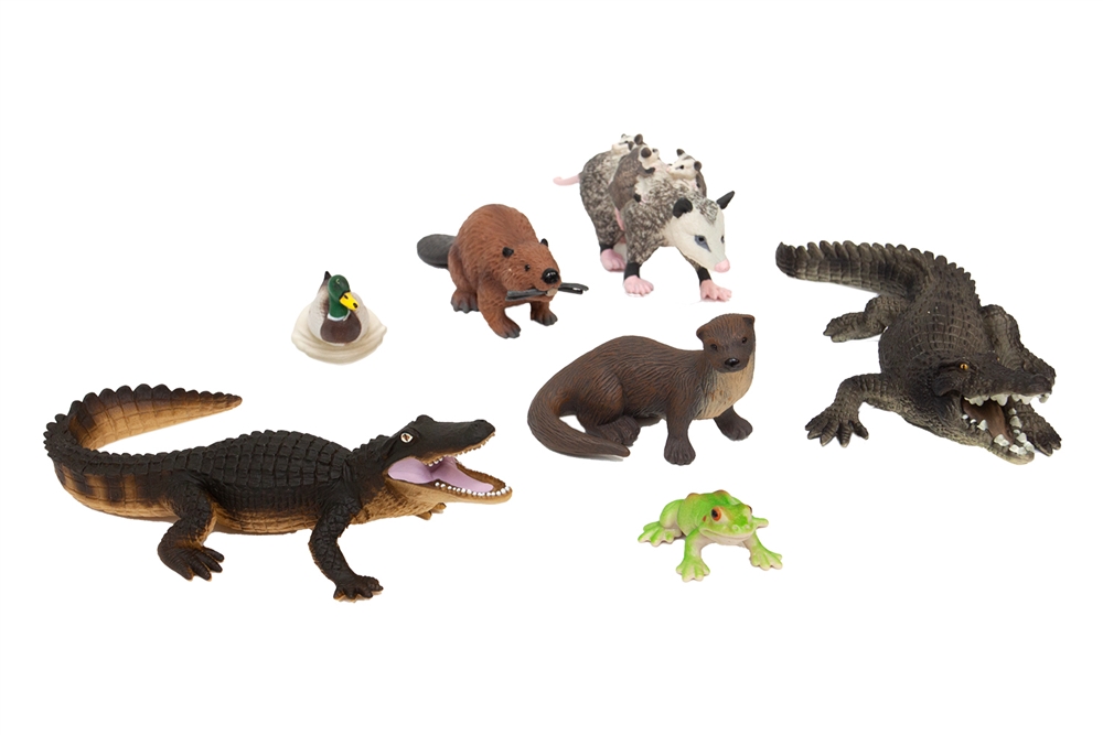 Wetlands Animals