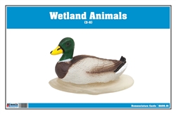Wetlands Animals Nomenclature Cards (Printed)