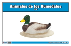 Tarjetas de Nomenclatura de Animales de Humedales (Printed)