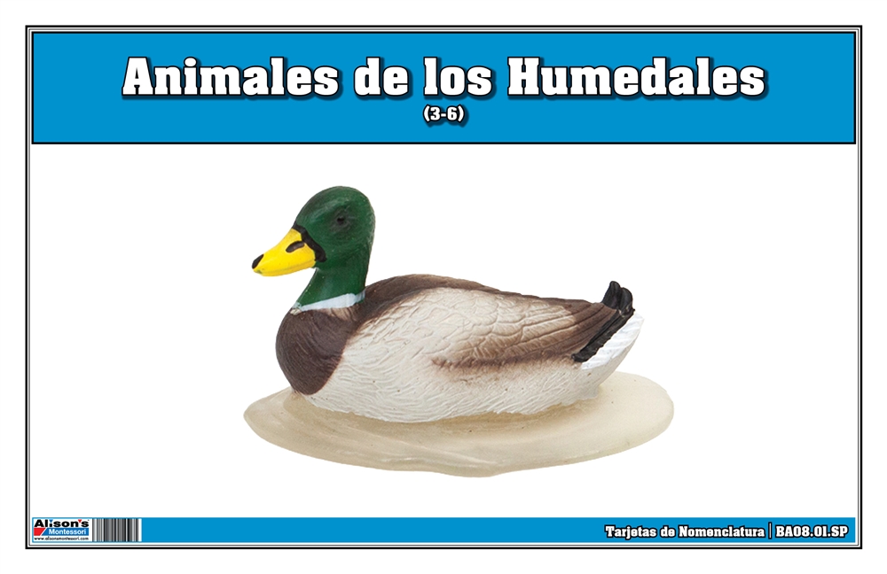 Wetlands Animals Nomenclature Cards (Spanish)
