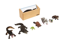 Wetlands Animals to Cards Matching