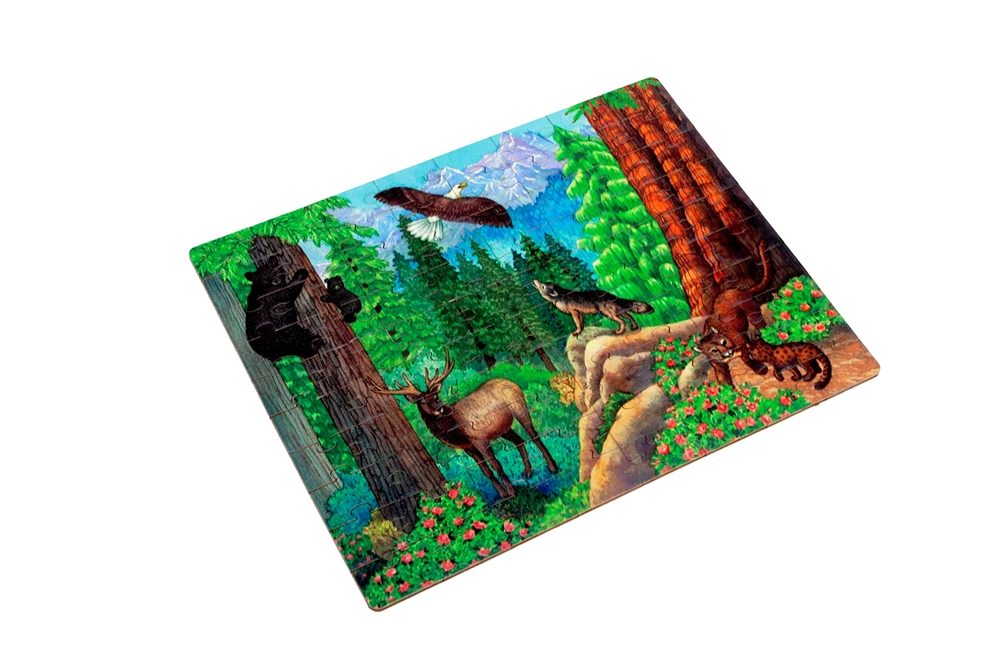 Temperate Coniferous Forest Biome - Jigsaw Puzzle