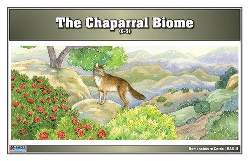 Temperate Coniferous Forest Biome Nomenclature Cards (6-9)