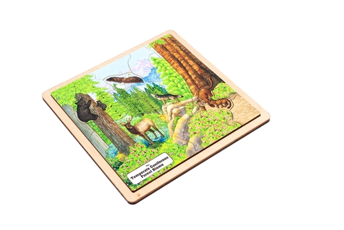 Temperate Coniferous Forest Biome - Complete Set