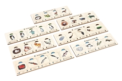 Life Cycle of Vertebrates Study - Complete Curriculum