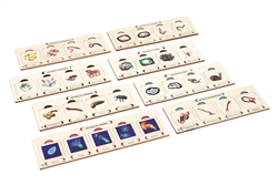 Life Cycle of Invertebrates Study - Complete Curriculum