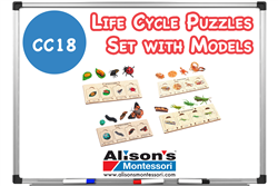 Life Cycle Puzzles Set with Models