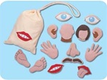 My Body Parts Felt Pieces
