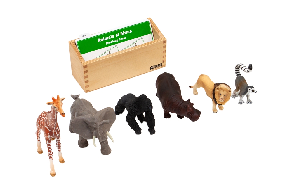 Animals to Cards Matching