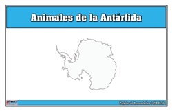 Tarjetas de Nomenclatura de Animales de la Antártida (Printed)