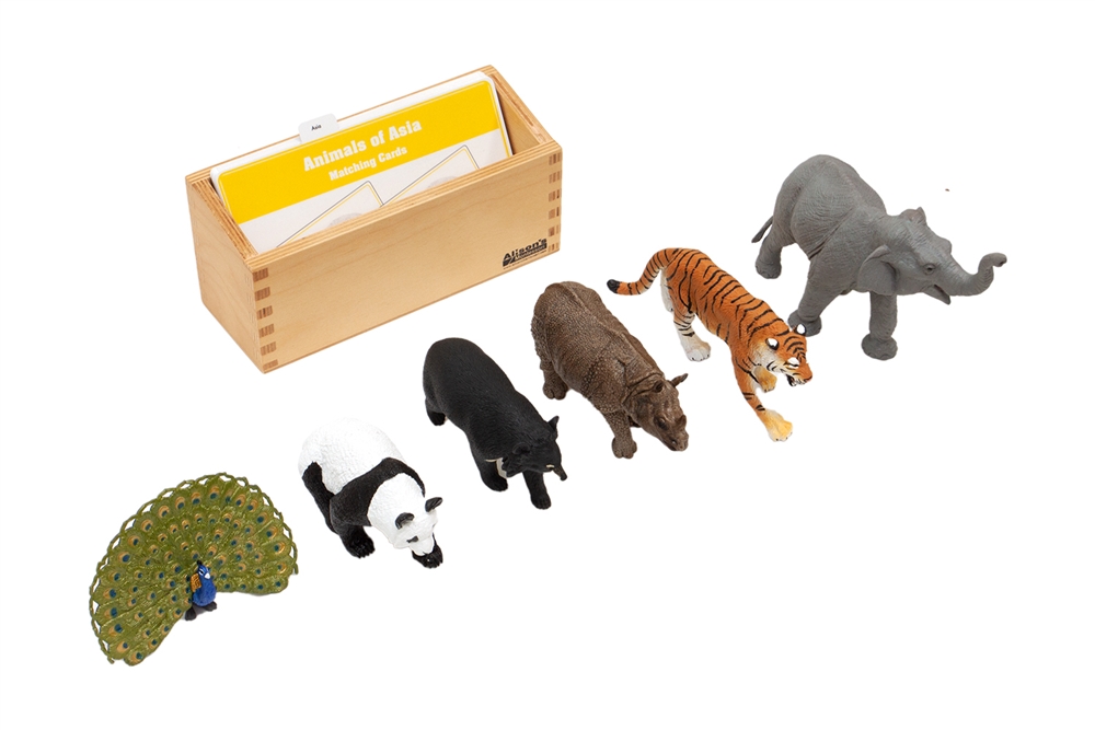 Asian Animals to Cards Matching