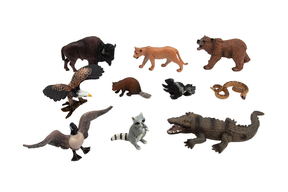 Animals of North America