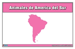 Tarjetas de Nomenclatura de Animales de América del Sur (Printed)