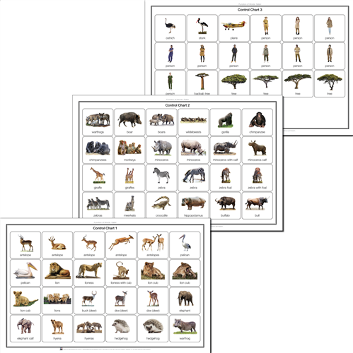 Function of Words: Safari Cut-out Control Charts