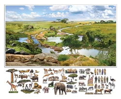 Function of Words: Safari (Complete Set)