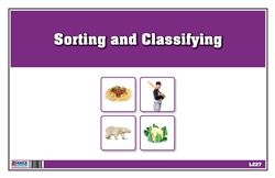 Sorting and Classifying (Printed)