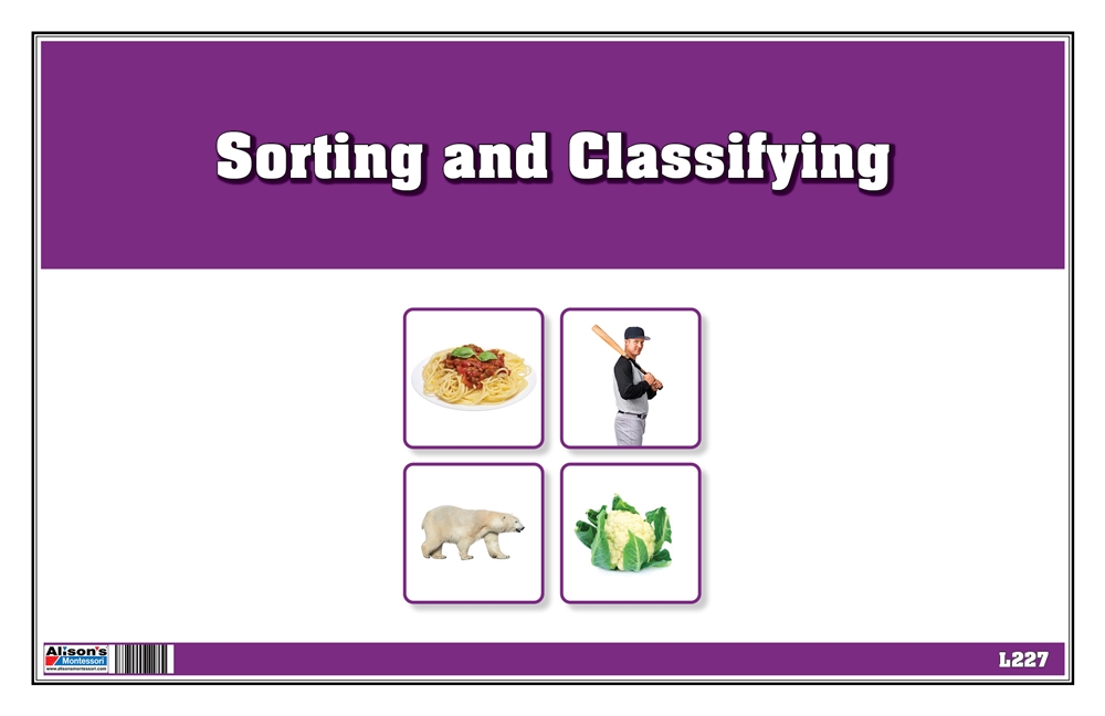 Sorting and Classifying