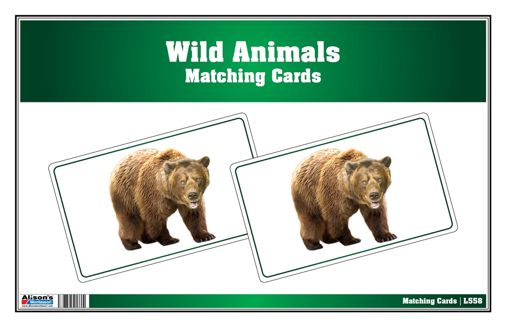 Picture Matching Cards - Wild Animals (Printed and Laminated)