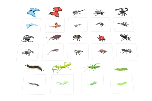 Object to Picture Matching Cards: Insects