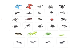 Object to Silhouettes Matching Cards: Insects