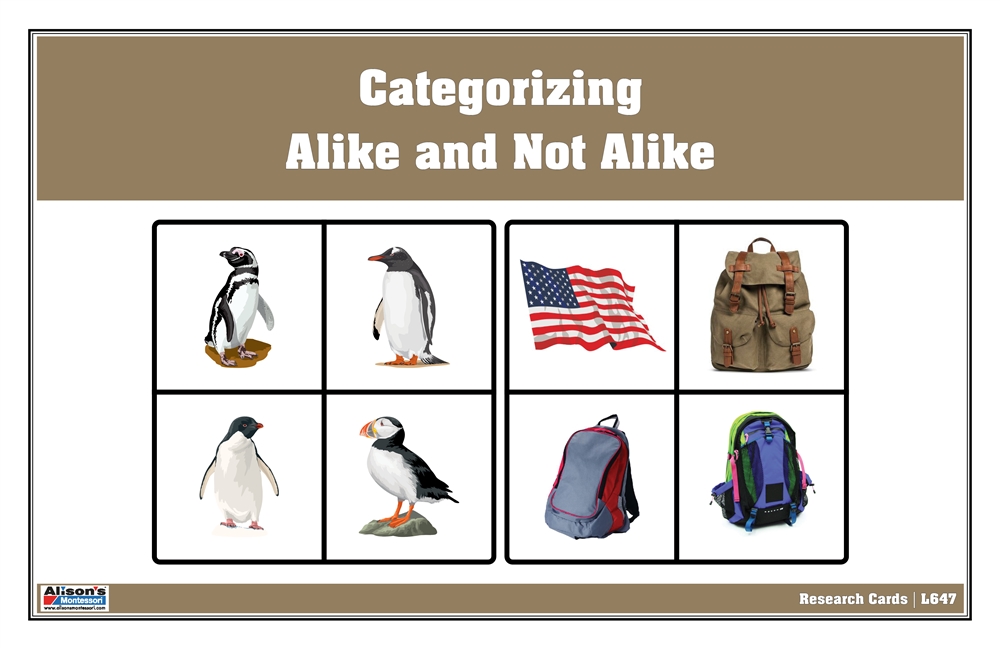 Categorizing:  Alike and Not Alike