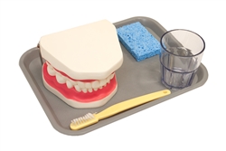 Tooth brushing Activity Set