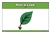 Parts of a Leaf Puzzle Nomenclature Cards (6-9)