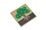 Parts of a Tree Puzzle (Premium Quality)