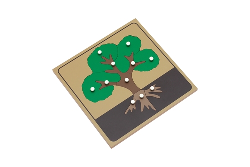 Parts of a Tree Puzzle (Premium Quality)
