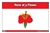 Parts of a Flower Puzzle Nomenclature Cards(6-9)
