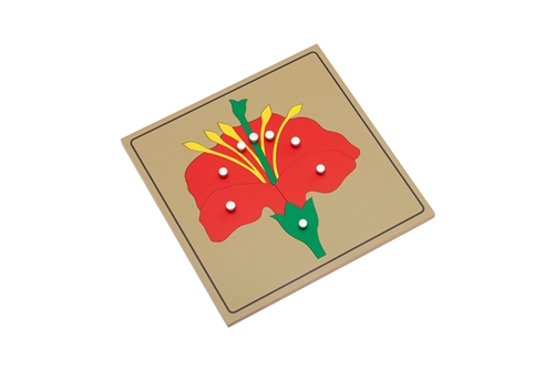Parts of a Flower Puzzle with Nomenclature Cards (3-6) (Premium Quality)