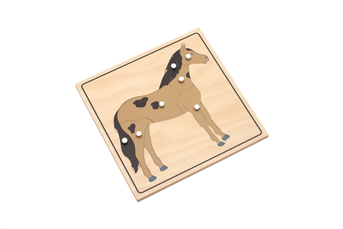 Parts of a Horse Puzzle with Nomenclature Cards (3-6) (Premium Quality)