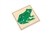 Parts of a Frog Puzzle (Premium Quality)