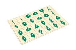 North American Botany Leaf Shapes Puzzle and Control Chart (Premium Quality)