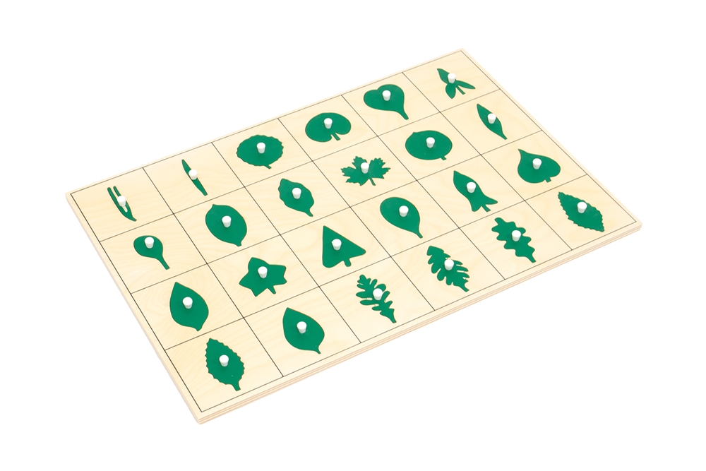 North American Botany Leaf Shapes Puzzle and Control Chart (Premium Quality)