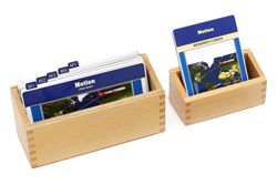 Motion Supplement Materials