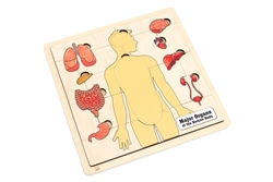 Major Organs of the Human Body Puzzle with Nomenclature Cards (6-9) (Printed)