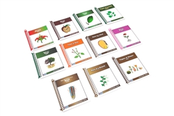 Lower Elementary Classified Botany Nomenclature
