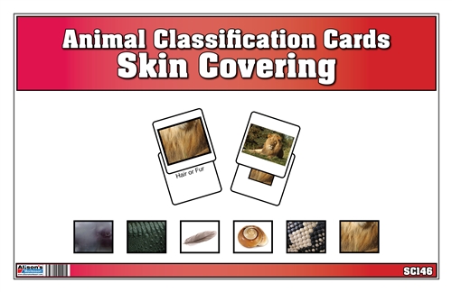 Animal Classification Cards by Skin Covering