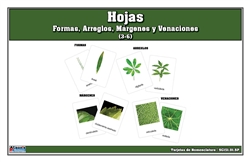 Hojas Formas, Arreglos, Márgenes y Venaciones  (3-6) (Printed)