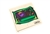 Parts of a Plant Cell Puzzle with Nomenclature Cards (6-9)