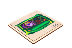 Parts of a Plant Cell Complete Set
