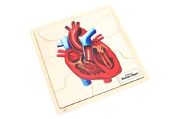 Parts of a Human Heart Puzzle with Nomenclature Cards (6-9)